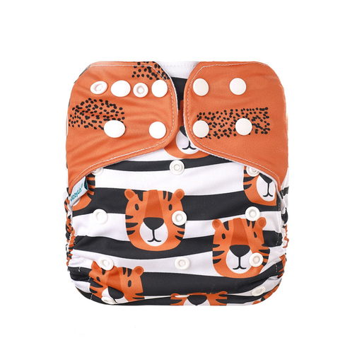 CB058_TIGRES_NARANJA