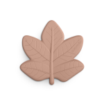 3402796P_SILVESTRE_CELESTE